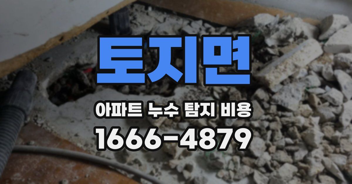 토지면 아파트 누수 탐지 비용