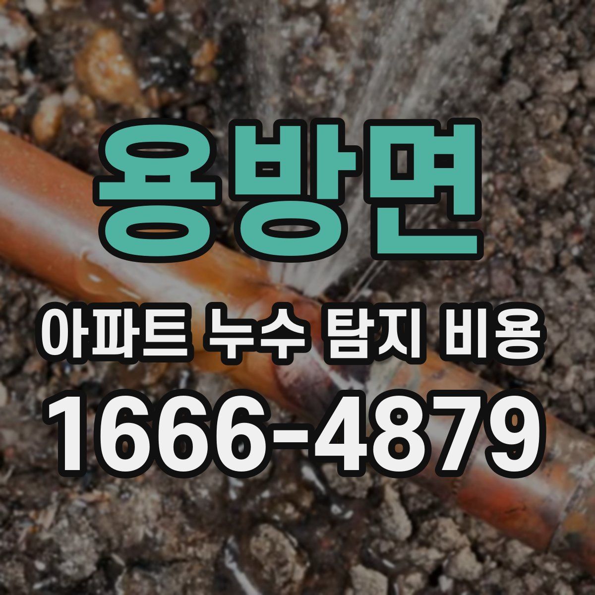 용방면 아파트 누수 탐지 비용
