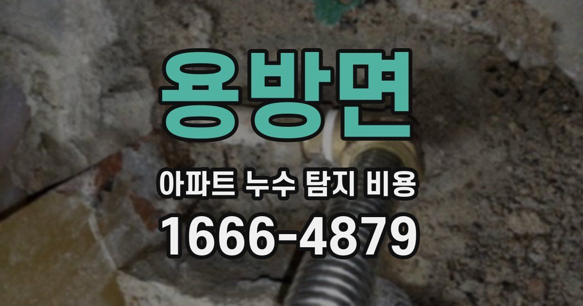 용방면 아파트 누수 탐지 비용