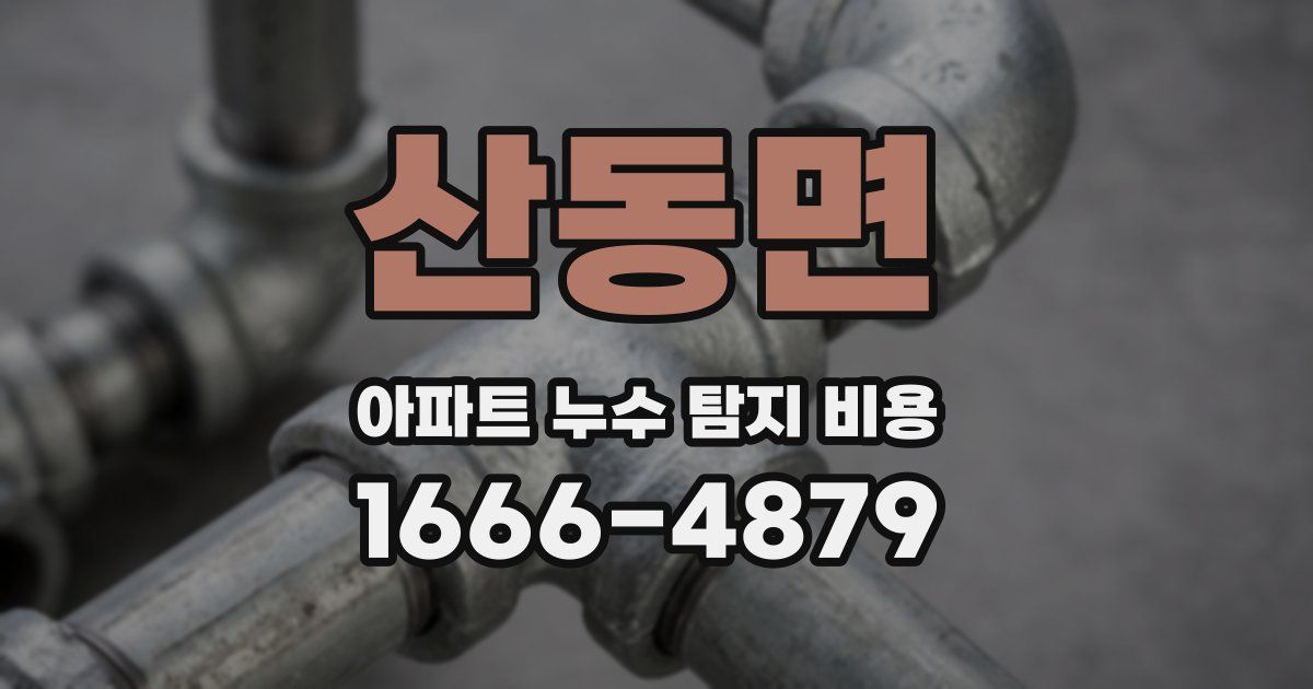 산동면 아파트 누수 탐지 비용