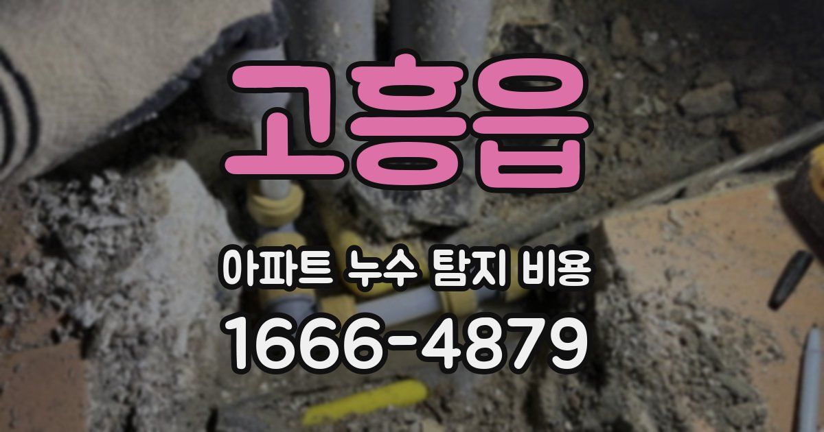 고흥읍 아파트 누수 탐지 비용