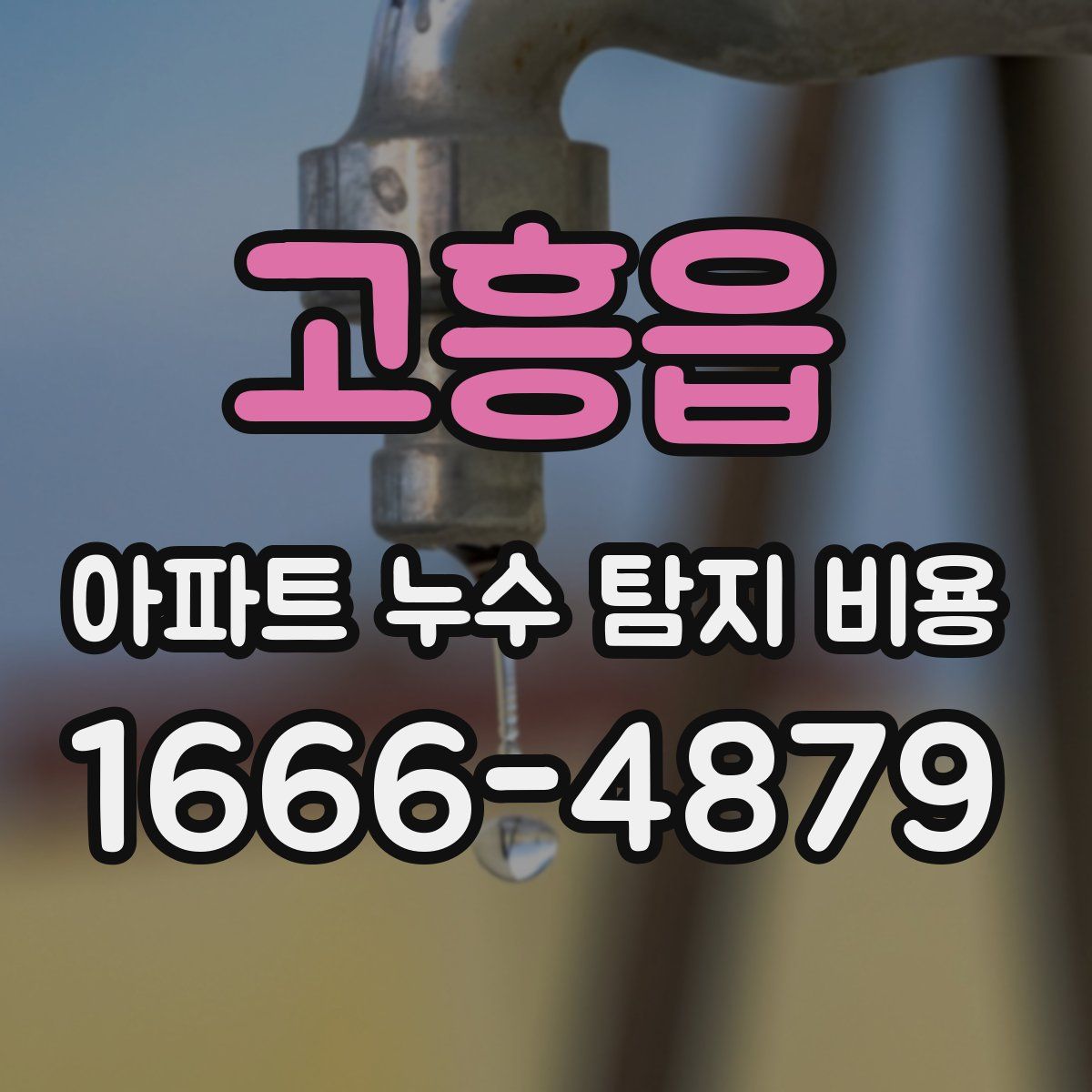 고흥읍 아파트 누수 탐지 비용