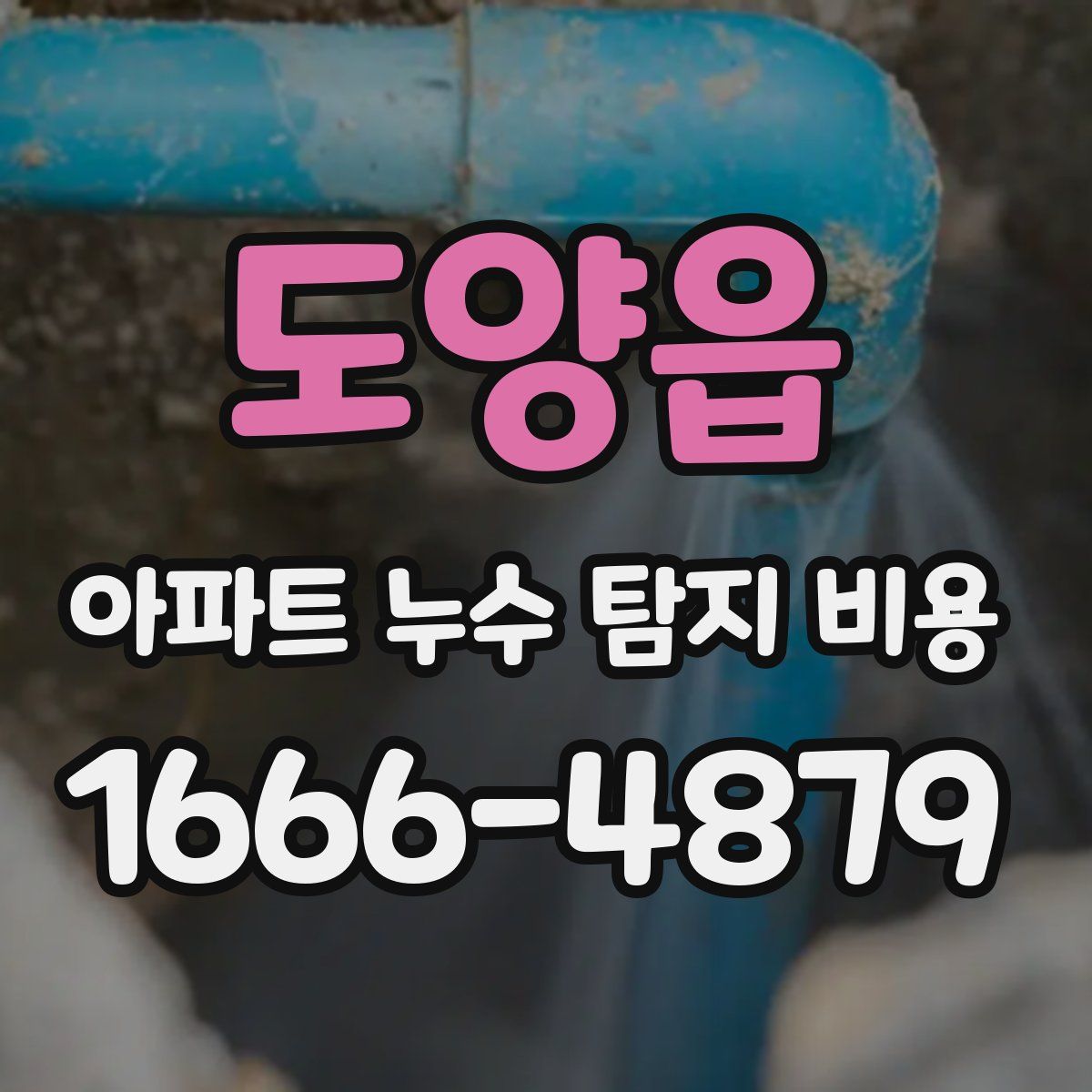 도양읍 아파트 누수 탐지 비용