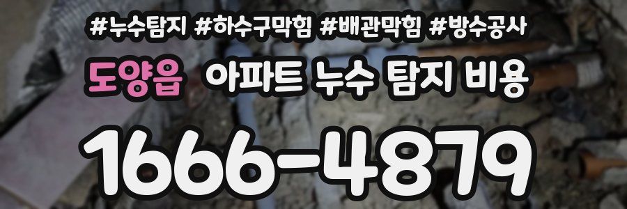 도양읍 아파트 누수 탐지 비용