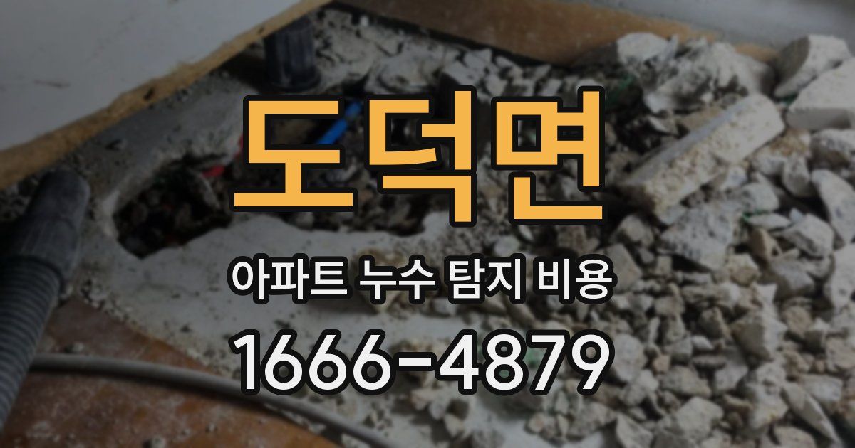 도덕면 아파트 누수 탐지 비용