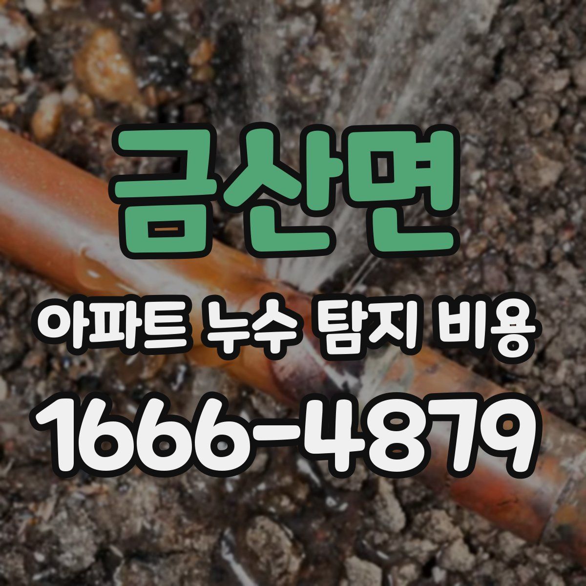 금산면 아파트 누수 탐지 비용