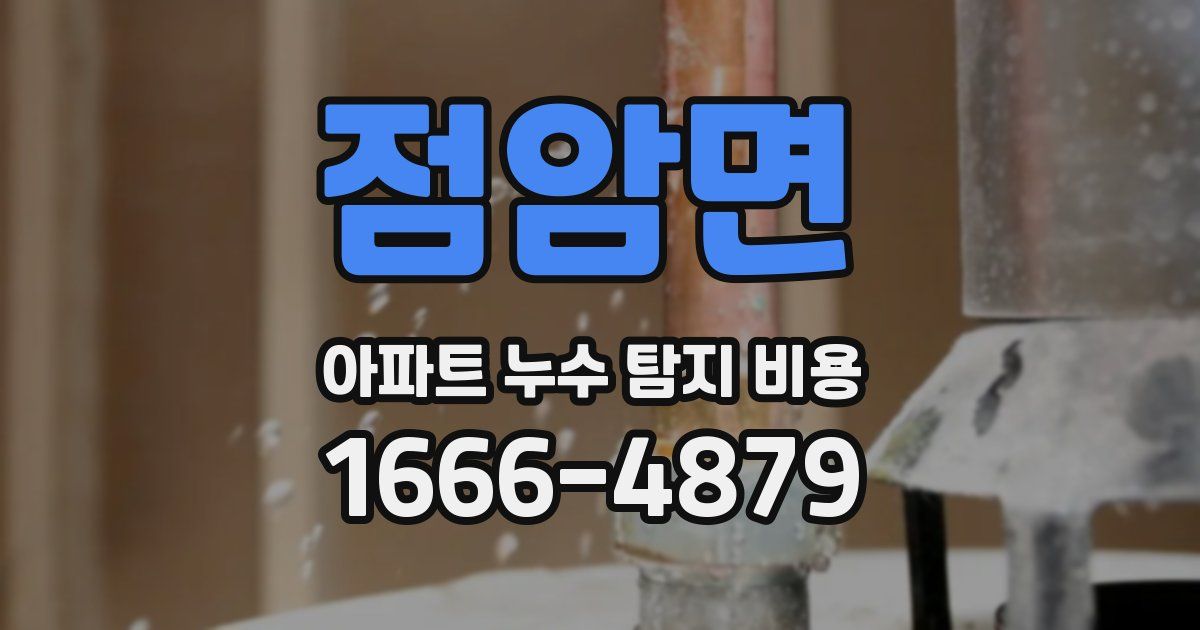 점암면 아파트 누수 탐지 비용