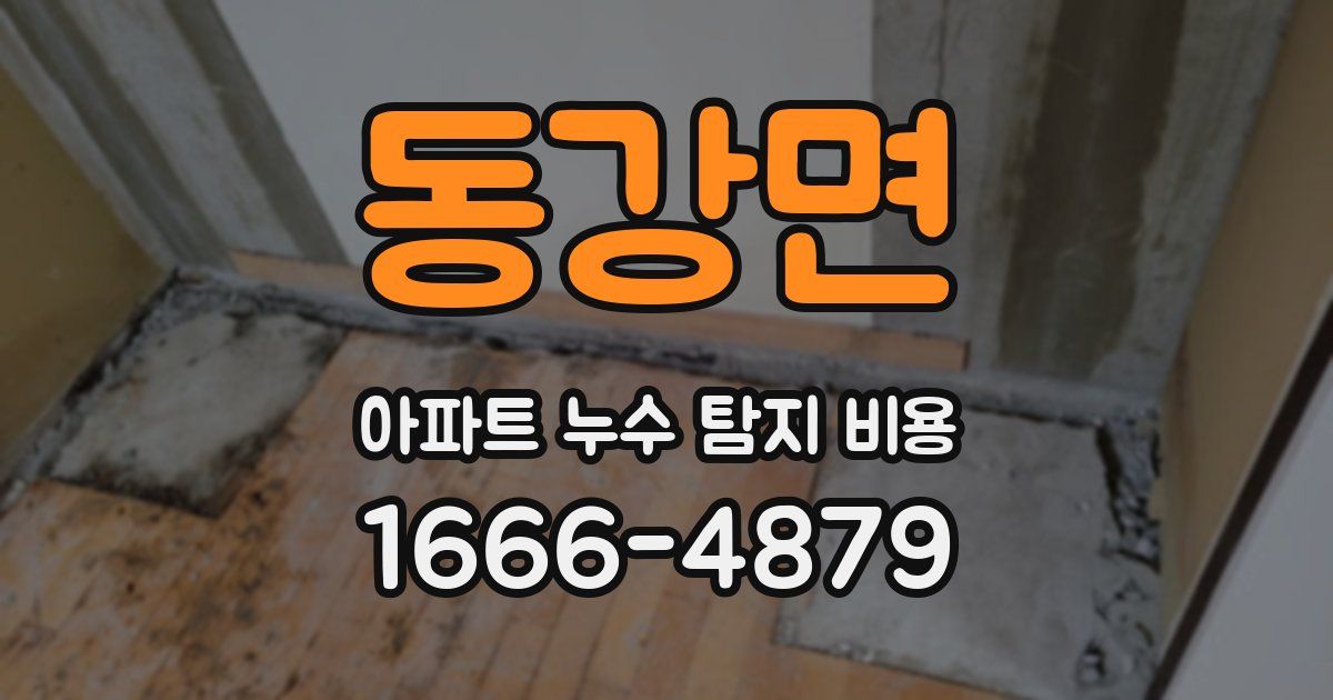 동강면 아파트 누수 탐지 비용