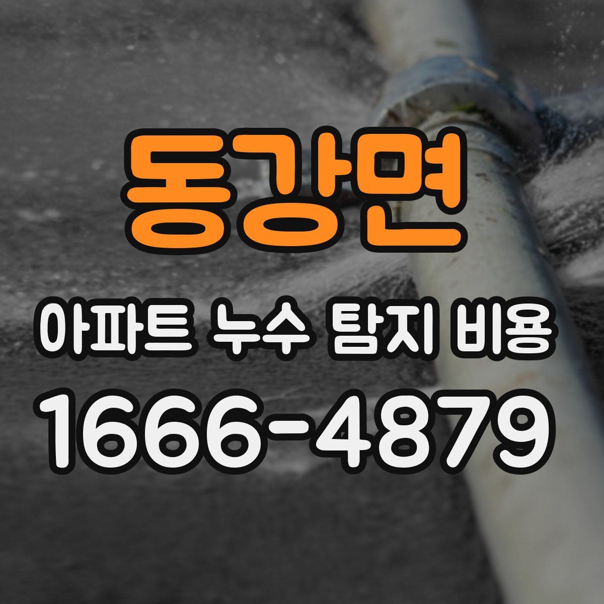 동강면 아파트 누수 탐지 비용