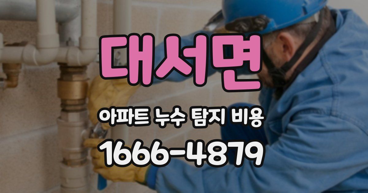 대서면 아파트 누수 탐지 비용