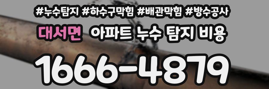 대서면 아파트 누수 탐지 비용