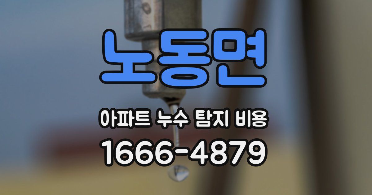 노동면 아파트 누수 탐지 비용