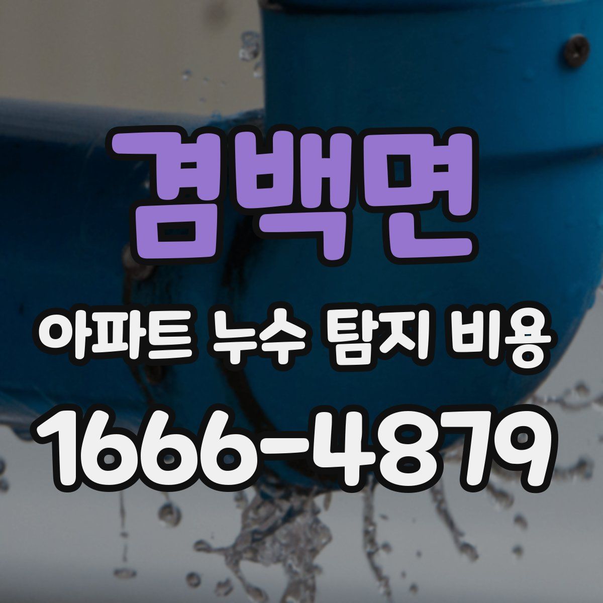 겸백면 아파트 누수 탐지 비용