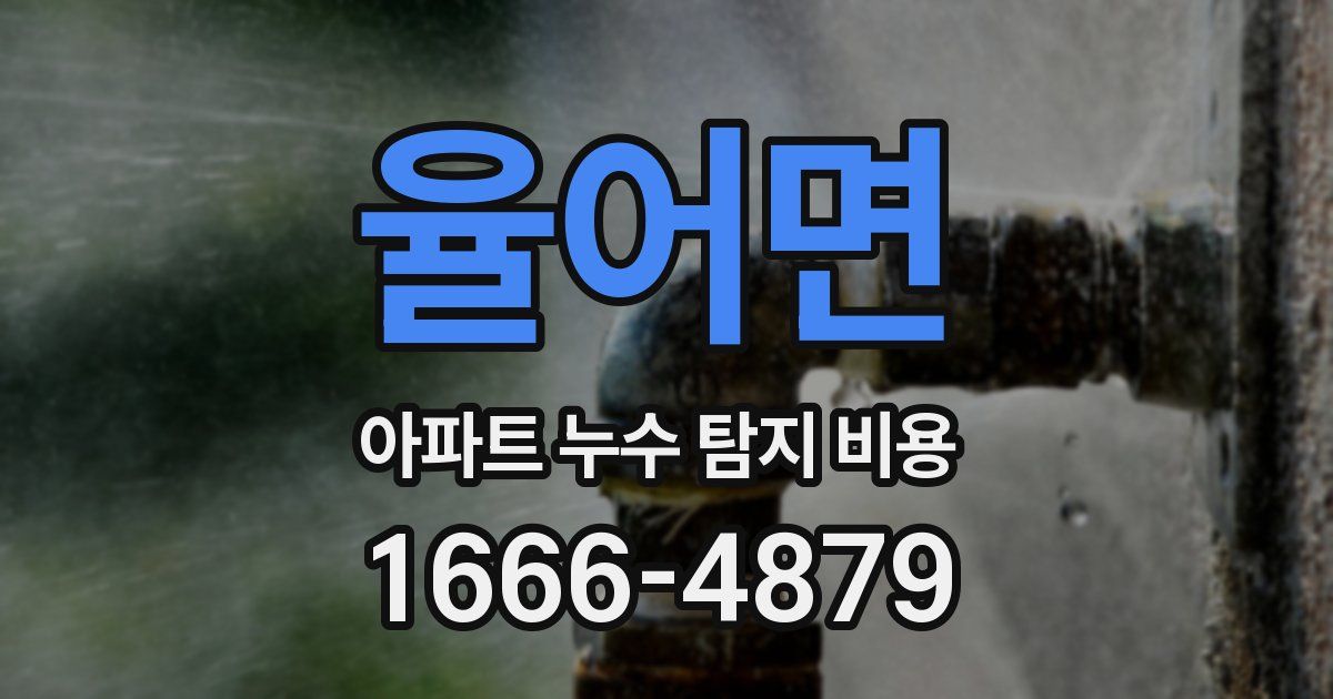 율어면 아파트 누수 탐지 비용
