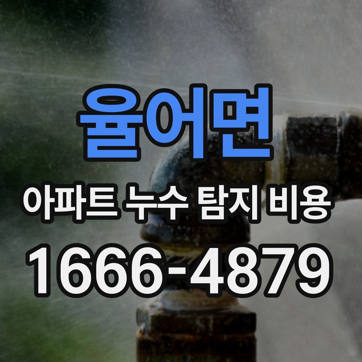 율어면 아파트 누수 탐지 비용