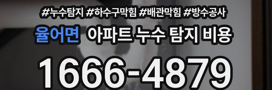 율어면 아파트 누수 탐지 비용