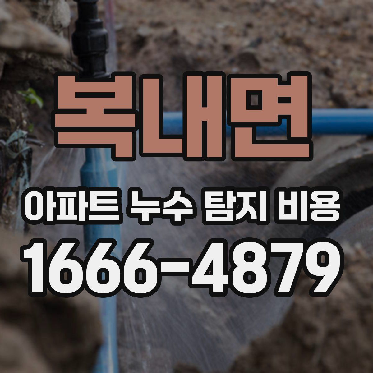 복내면 아파트 누수 탐지 비용