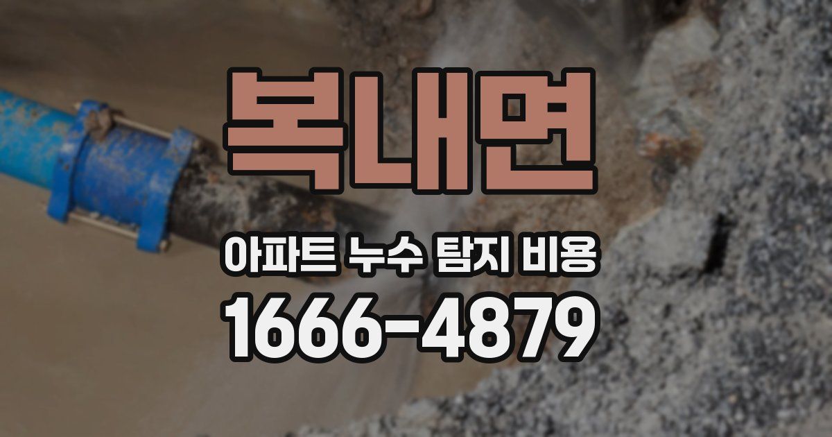 복내면 아파트 누수 탐지 비용