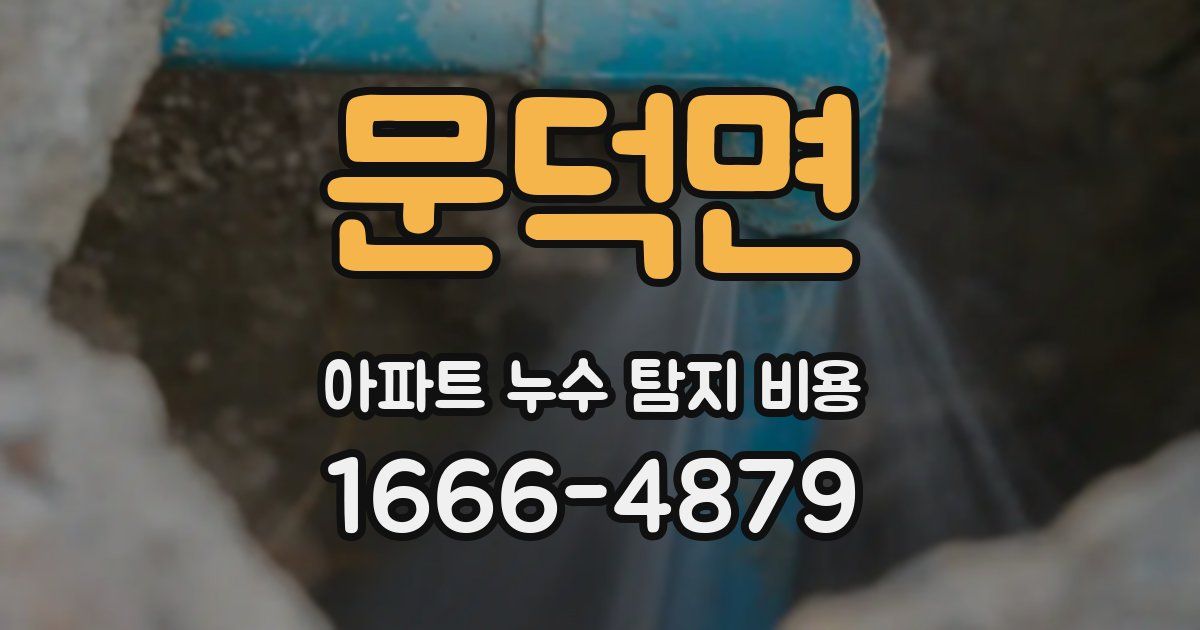 문덕면 아파트 누수 탐지 비용