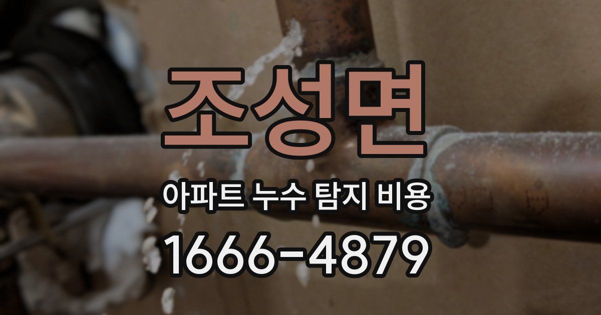 조성면 아파트 누수 탐지 비용