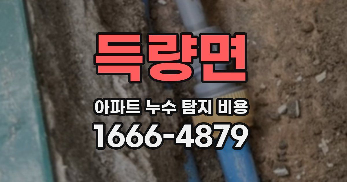 득량면 아파트 누수 탐지 비용