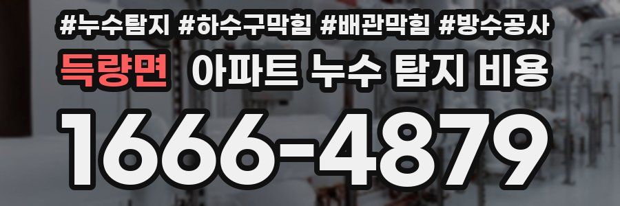 득량면 아파트 누수 탐지 비용