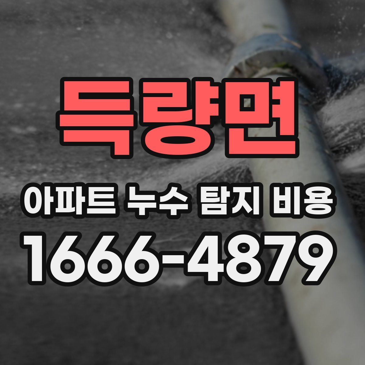 득량면 아파트 누수 탐지 비용