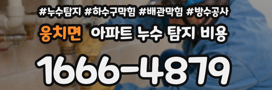 웅치면 아파트 누수 탐지 비용