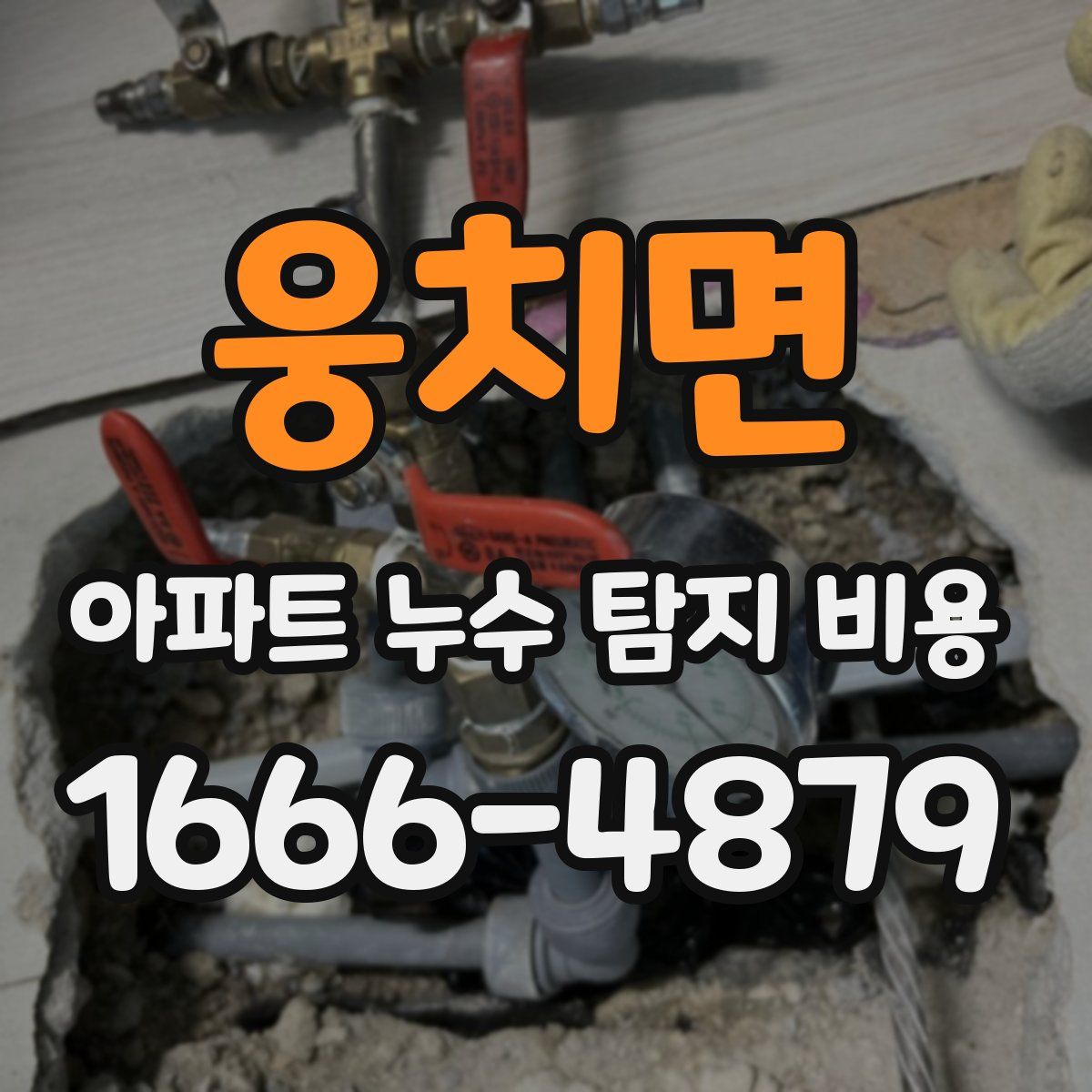 웅치면 아파트 누수 탐지 비용