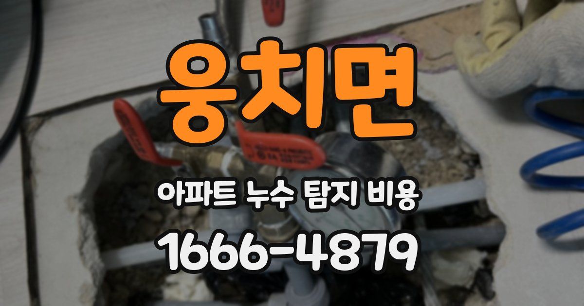 웅치면 아파트 누수 탐지 비용