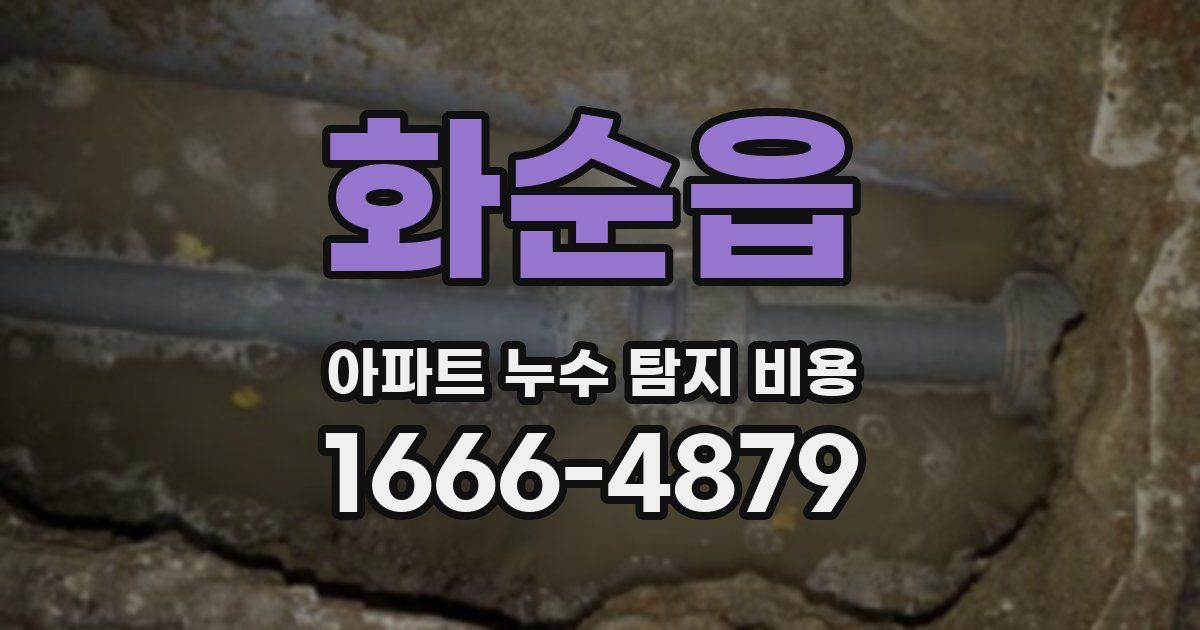 화순읍 아파트 누수 탐지 비용