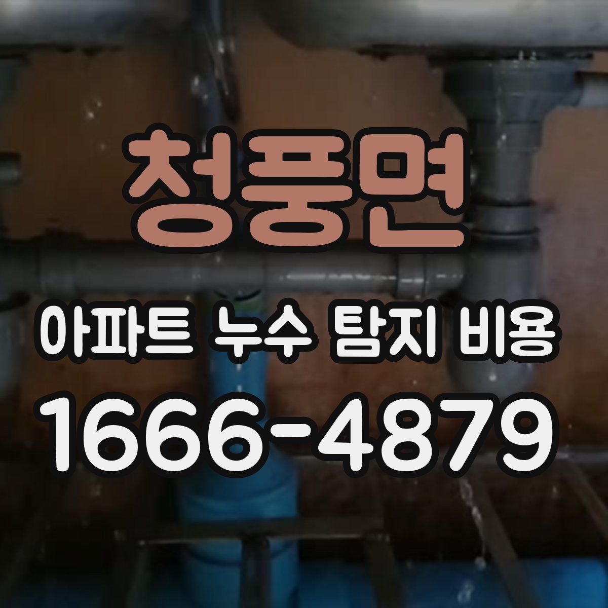 청풍면 아파트 누수 탐지 비용
