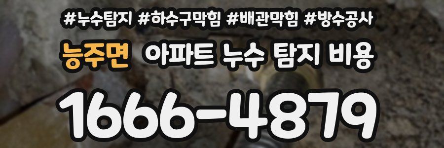 능주면 아파트 누수 탐지 비용
