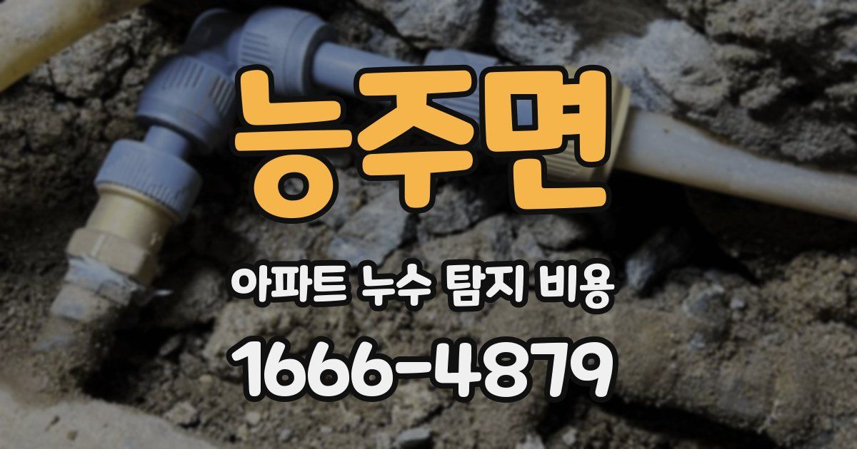 능주면 아파트 누수 탐지 비용