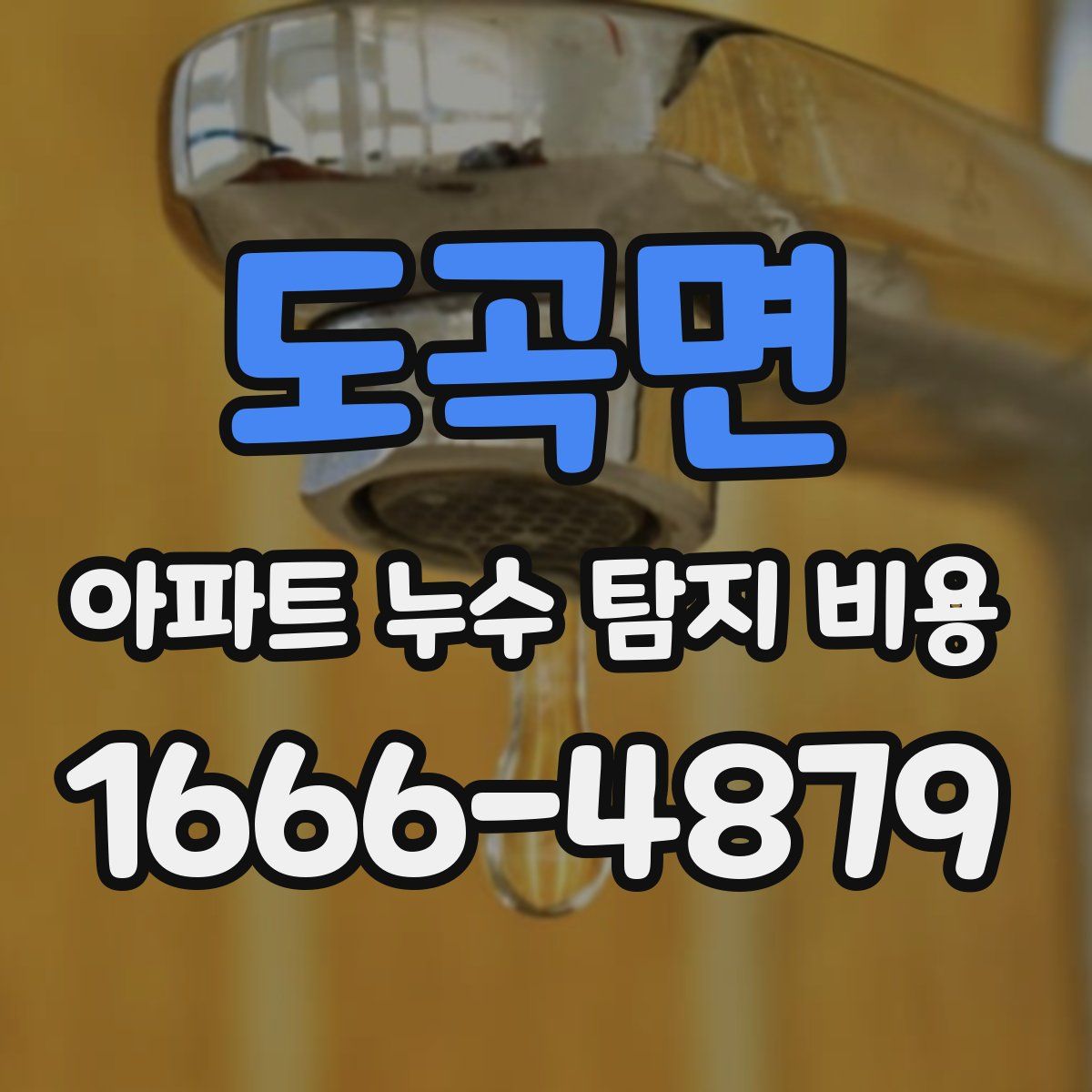 도곡면 아파트 누수 탐지 비용