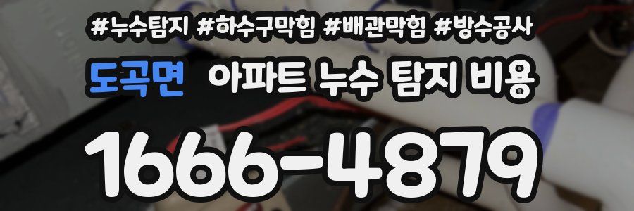도곡면 아파트 누수 탐지 비용