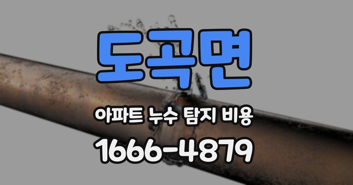 도곡면 아파트 누수 탐지 비용