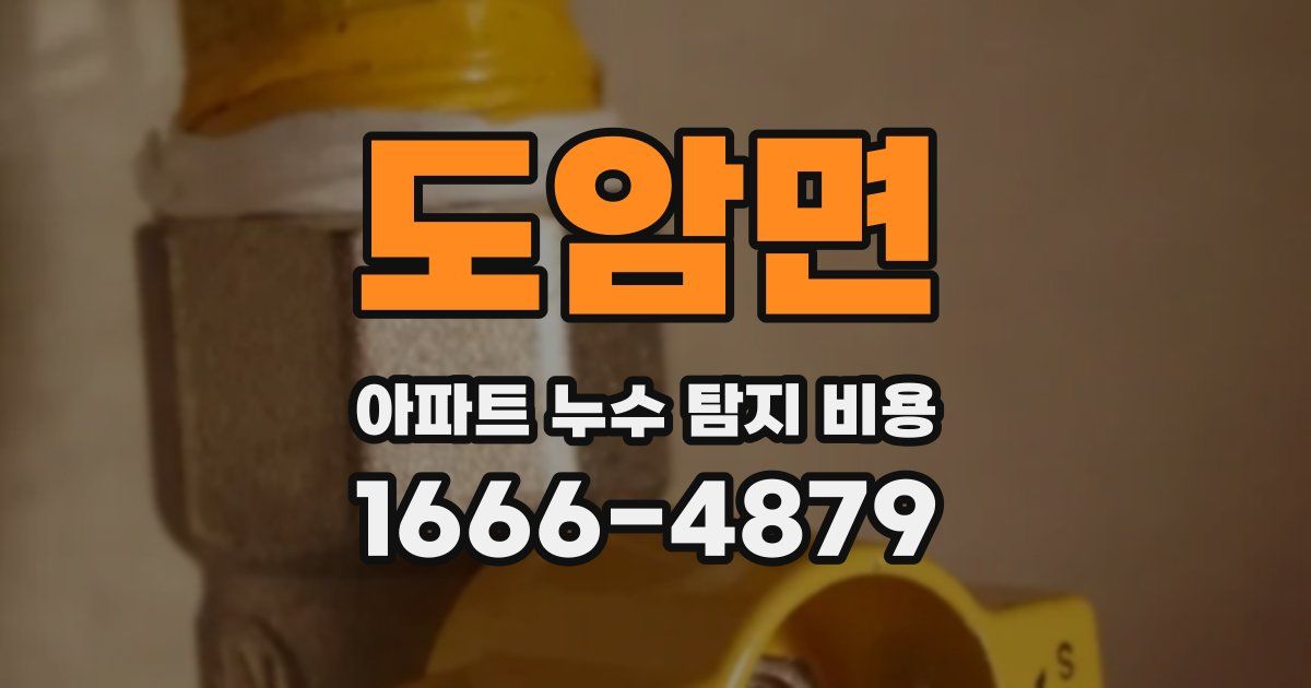 도암면 아파트 누수 탐지 비용