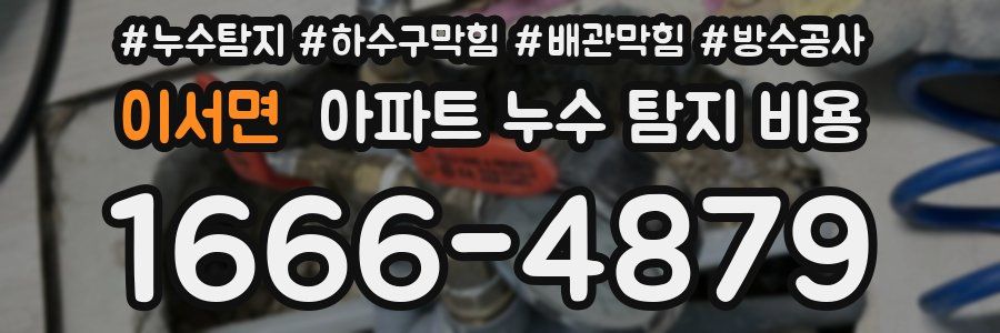 이서면 아파트 누수 탐지 비용