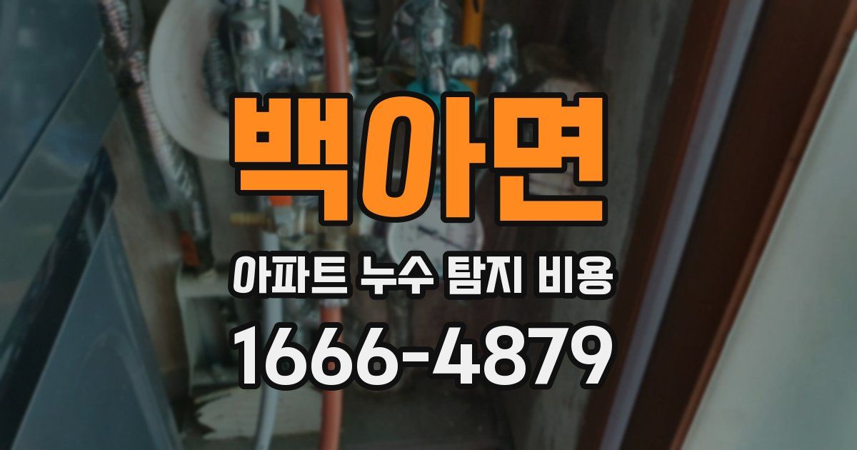 백아면 아파트 누수 탐지 비용