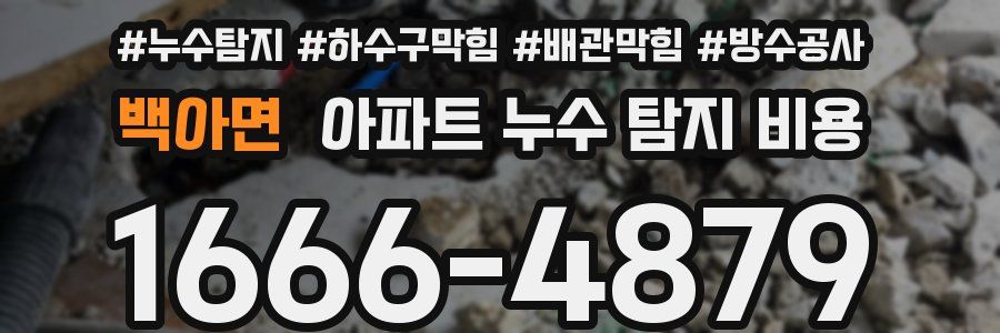 백아면 아파트 누수 탐지 비용