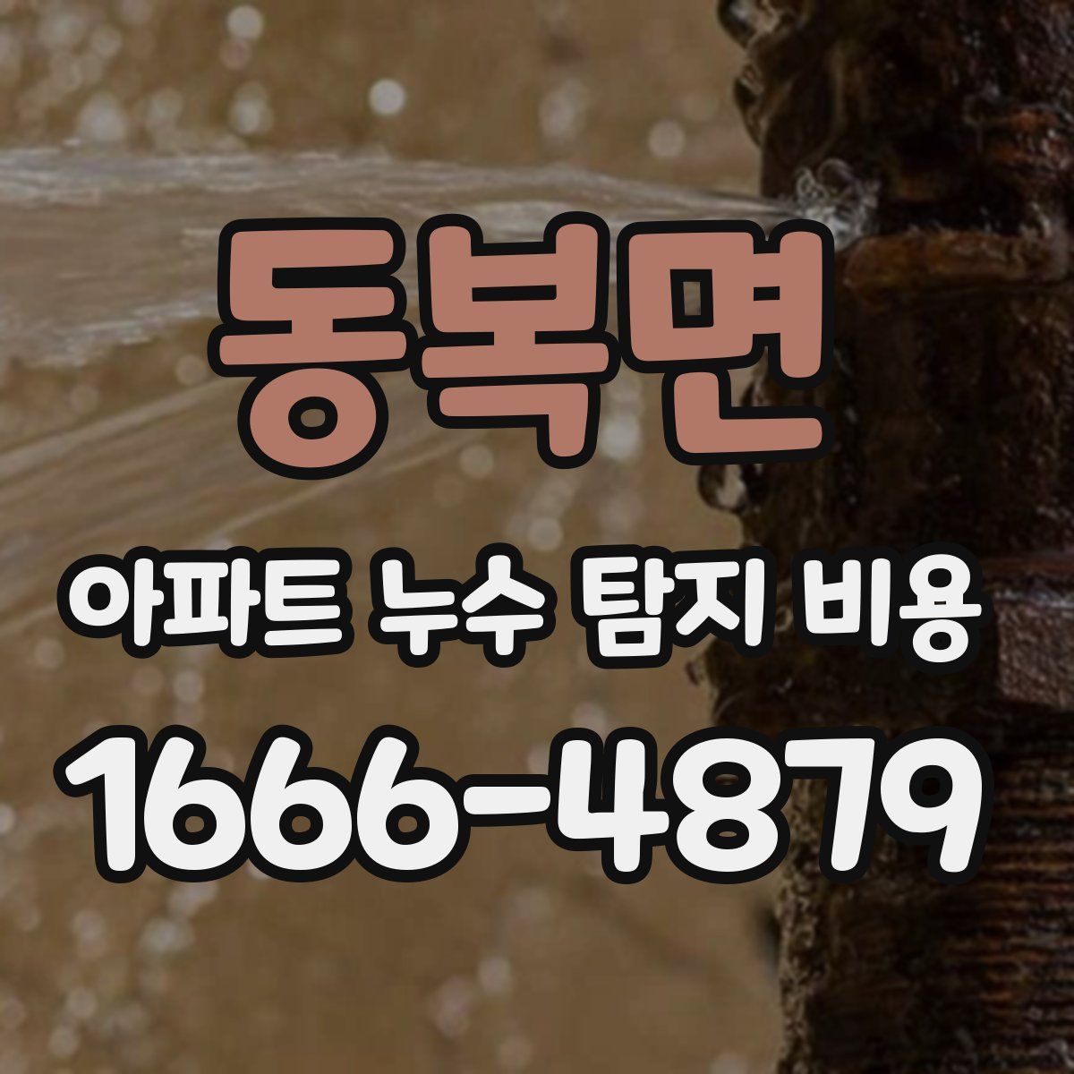 동복면 아파트 누수 탐지 비용