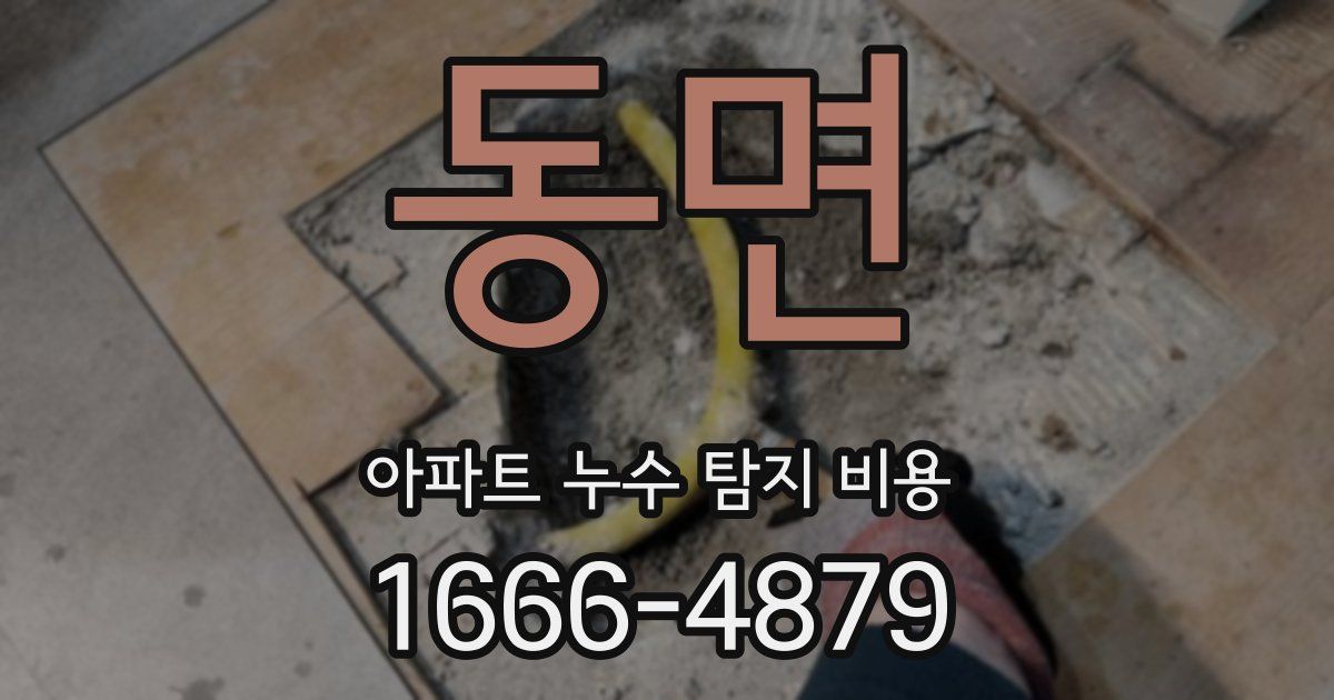동면 아파트 누수 탐지 비용