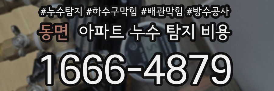 동면 아파트 누수 탐지 비용