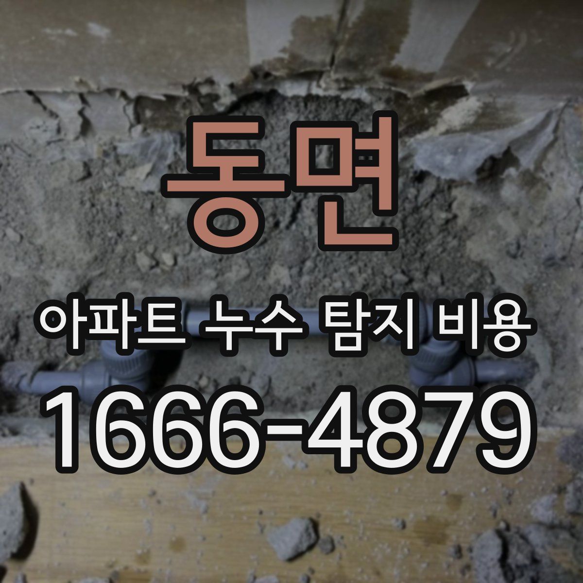 동면 아파트 누수 탐지 비용