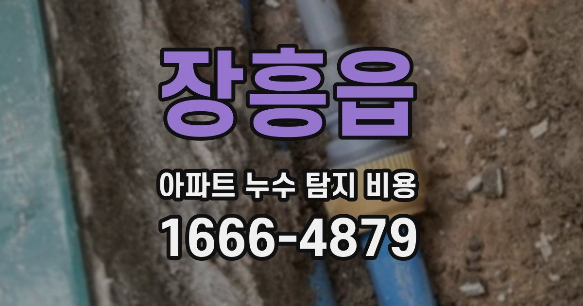 장흥읍 아파트 누수 탐지 비용
