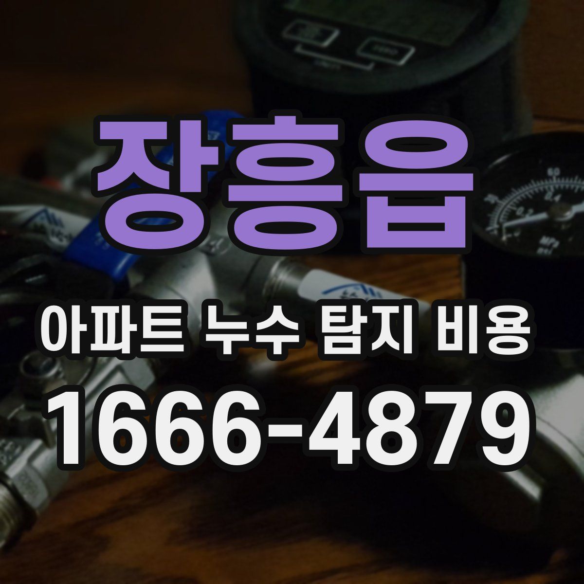 장흥읍 아파트 누수 탐지 비용