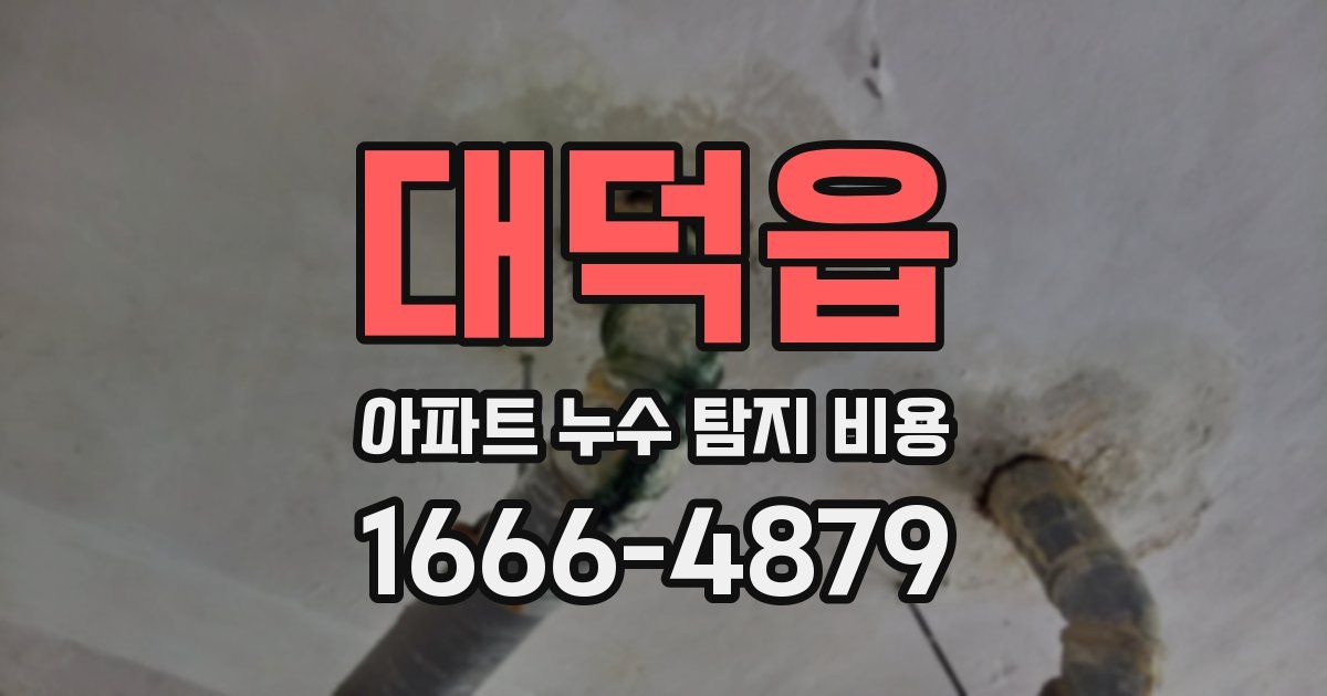 대덕읍 아파트 누수 탐지 비용