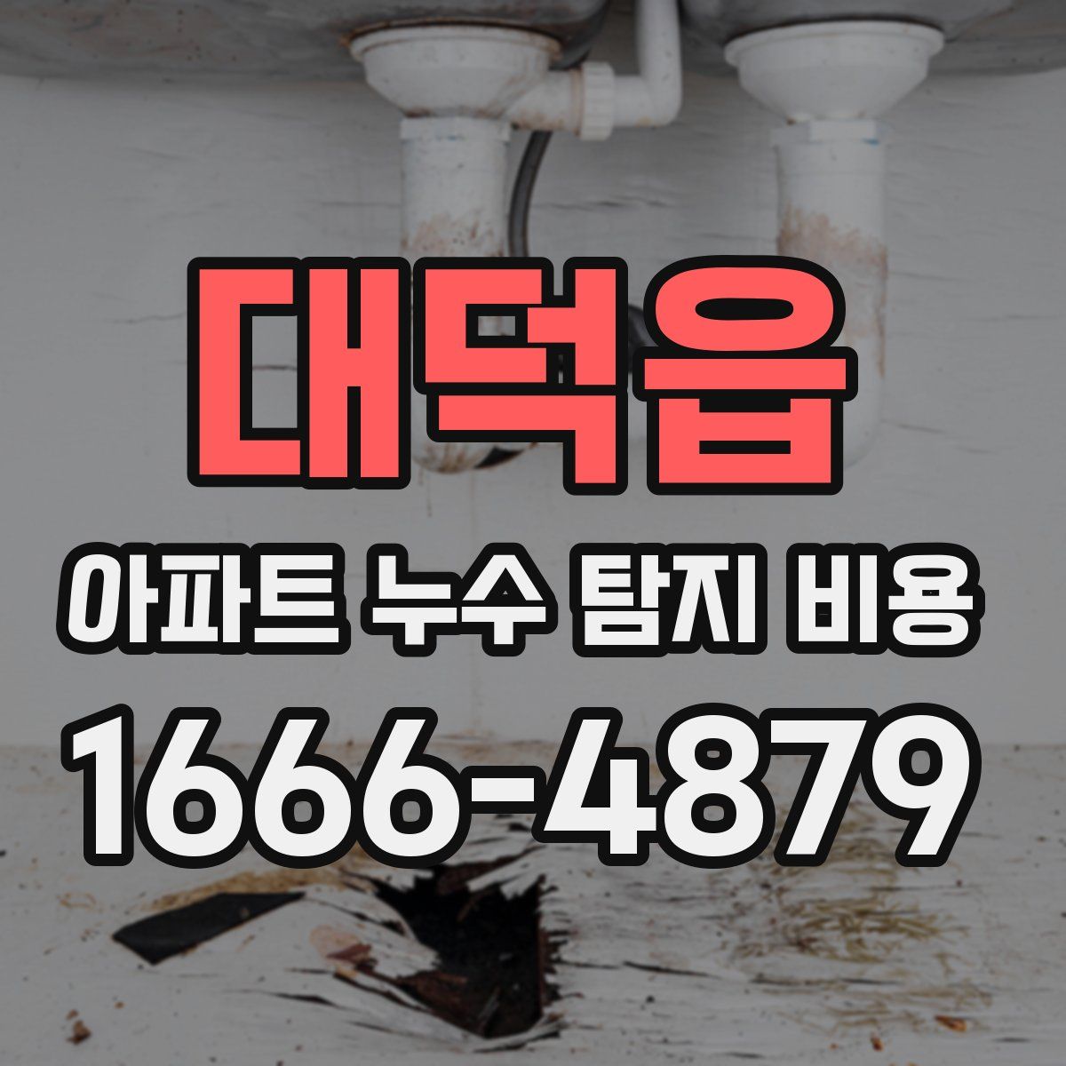 대덕읍 아파트 누수 탐지 비용