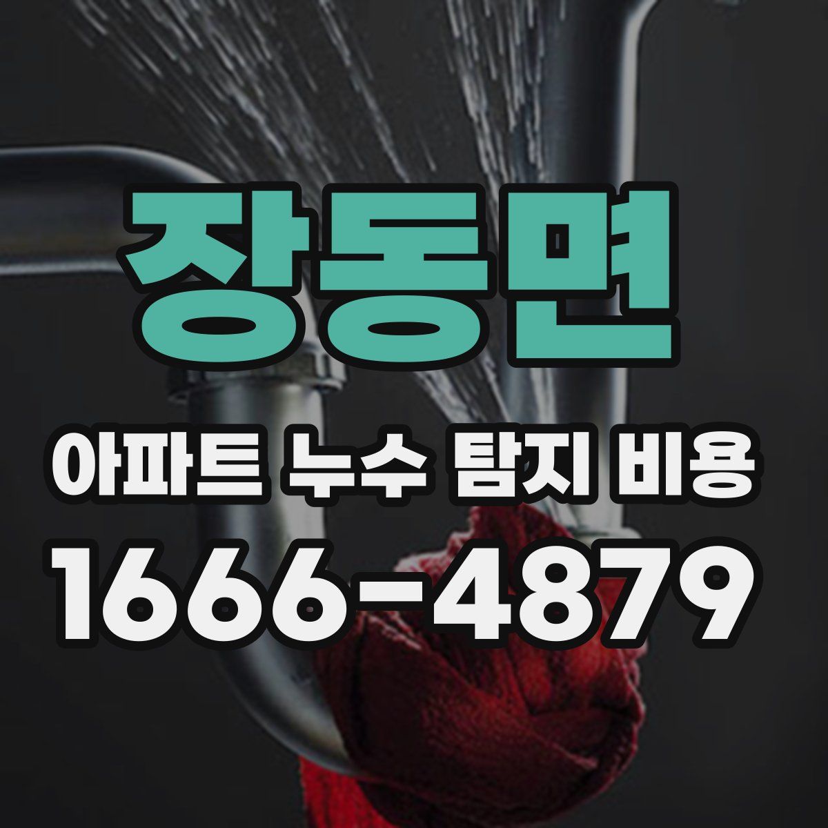 장동면 아파트 누수 탐지 비용